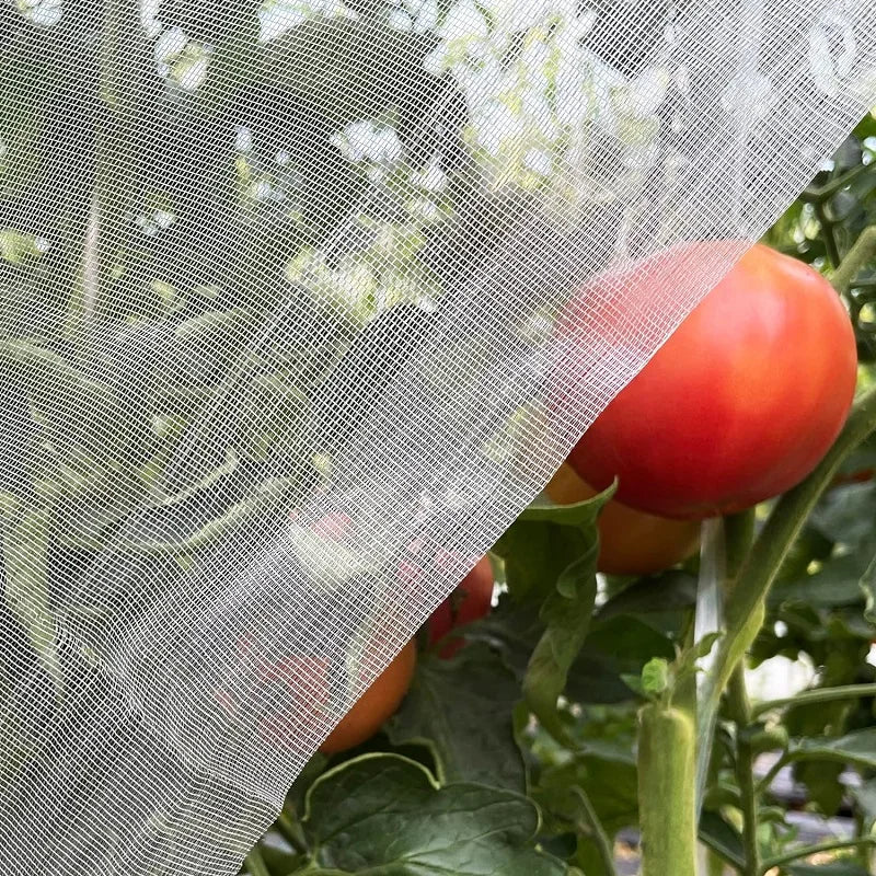 GreenShield Pro Pflanzenschutznetz | HDPE Insektenschutz & Vogelschutz | Lichtdurchlässig | Für Gemüse & Obst
