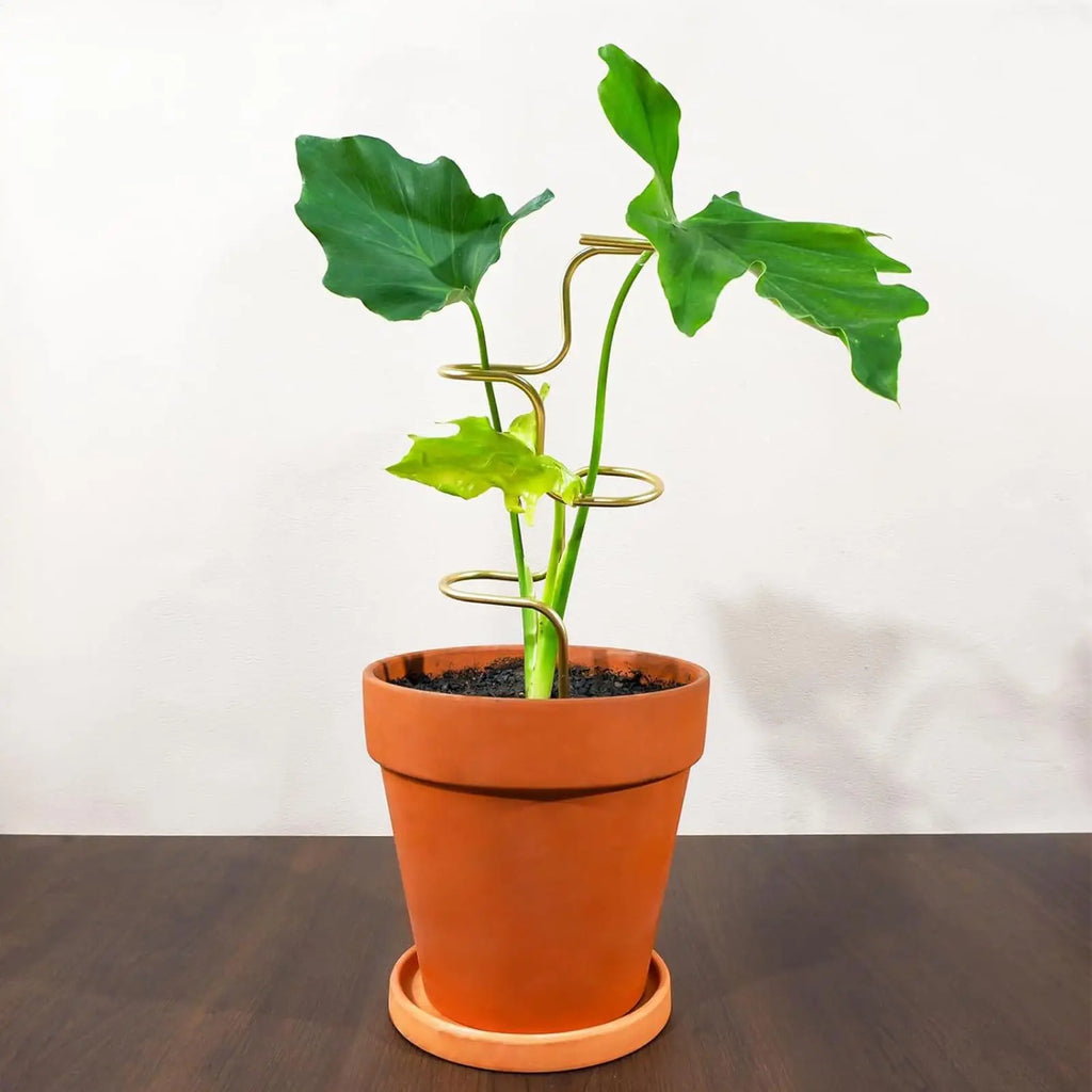 Floravinea Monstera Rankhilfe | Blatt-Design | Metall | 32 cm