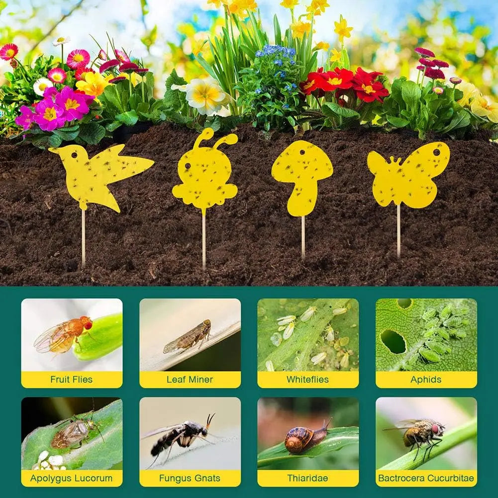 BioFang 59-tlg. Gelbe Fliegenfalle | Doppelseitige Klebefallen für Insekten & Fruchtfliegen | Nicht-toxisch für Pflanzen