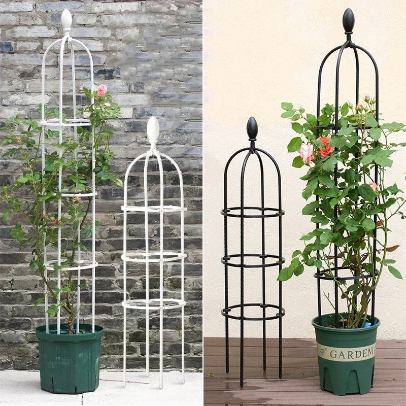 Growliva Pflanzen Rankhilfe Set | Kletterhilfe für Topfpflanzen | Stabiles Rankgitter | Fiberglas | Garten & Balkon