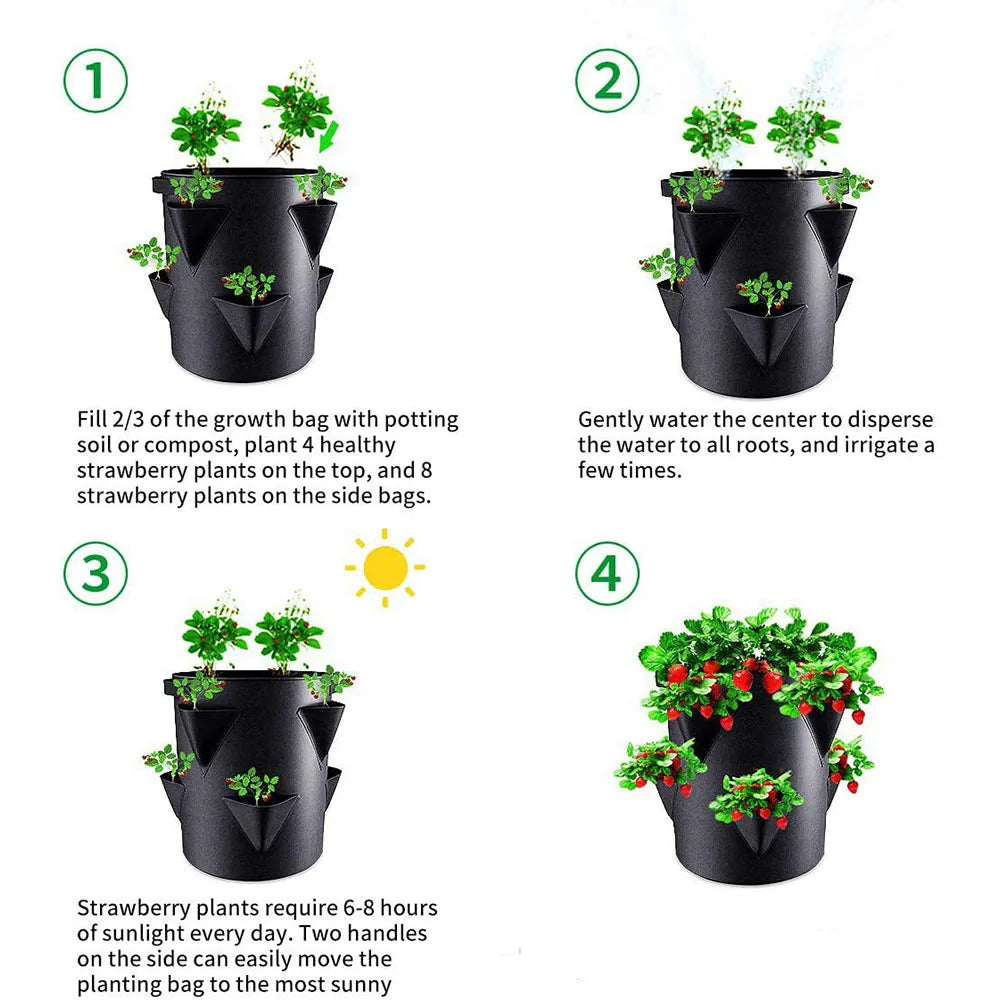 BerryGrow Erdbeer Pflanzsack | Atmungsaktiver Grow Bag | 5/7/10 Gal (20–45 × 25–35 cm) | Balkon & Garten Pflanzenbehälter