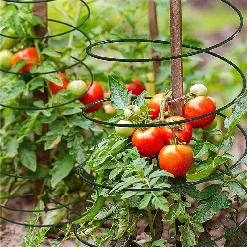 VineaForma | Verstellbare Pflanzenrankhilfe aus Metall | Rostgeschützter Pflanzenstützring | Für Kletterpflanzen & Rankpflanzen | Grün