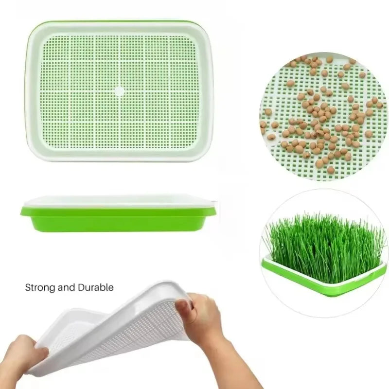 Sproutella | Keimschalen-Set für Sprossen & Microgreens | Hydrokultur-Anzuchtschale ohne Erde | Für Bohnen, Erbsen & Keimsaaten