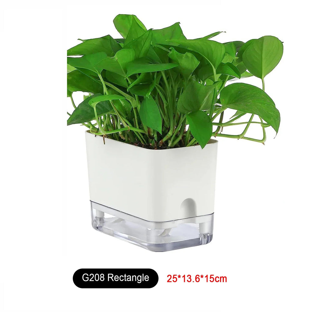 BloomEase Plant Pot | Self-Watering & Space-Saving | With Water Level Indicator | For Indoor Plants & Herbs