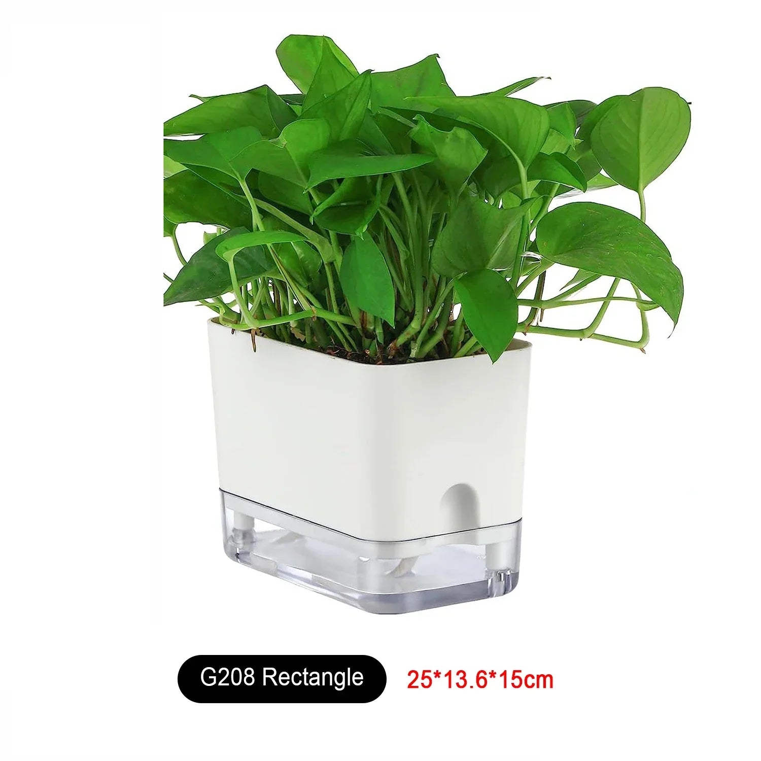 BloomEase Plant Pot | Self-Watering & Space-Saving | With Water Level Indicator | For Indoor Plants & Herbs
