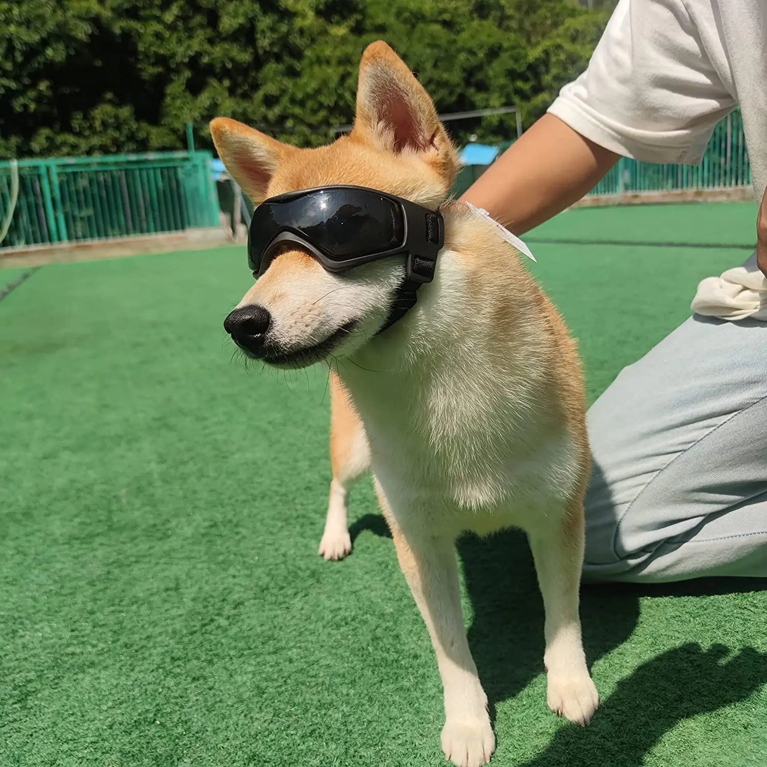 SunPaws Hunde Sonnenbrille | UV-Schutz Schutzbrille für Hunde & Katzen | Antibeschlag mit Belüftung | Verstellbare Gurte | Größe S/M