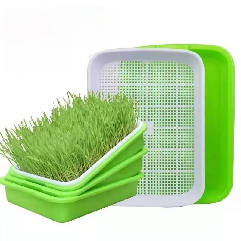Sproutella | Keimschalen-Set für Sprossen & Microgreens | Hydrokultur-Anzuchtschale ohne Erde | Für Bohnen, Erbsen & Keimsaaten
