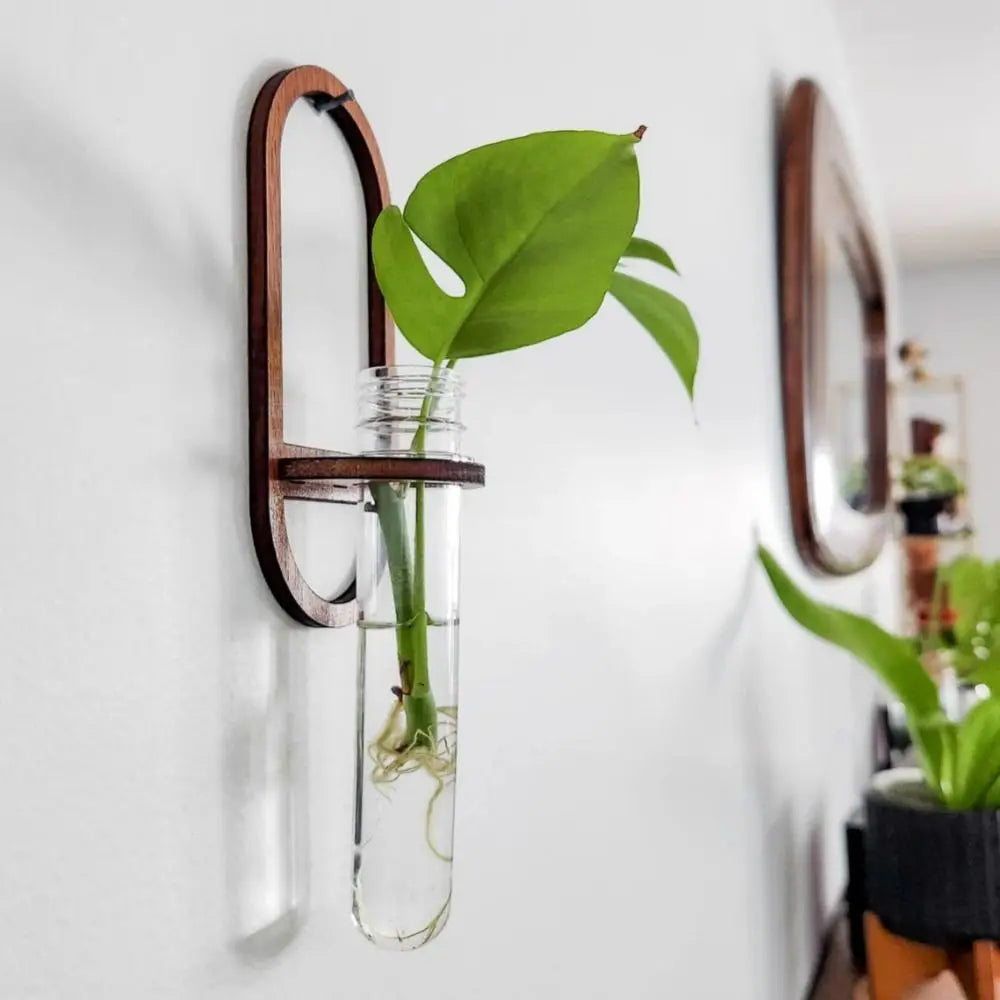 Naturiva | Wandvase aus Holz für Hydrokulturpflanzen | Hängender Pflanzenhalter für Blumen & Stecklinge | Dekorative Wanddekoration