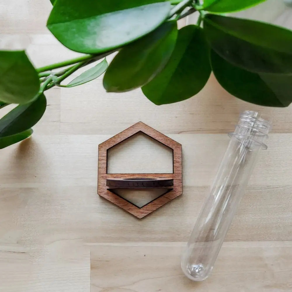 Naturiva | Wandvase aus Holz für Hydrokulturpflanzen | Hängender Pflanzenhalter für Blumen & Stecklinge | Dekorative Wanddekoration