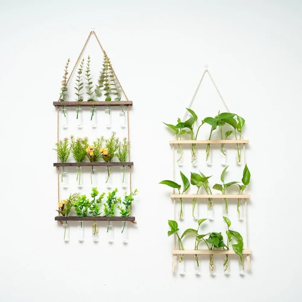 Floravivo | Wandvase aus Glas für Hydrokultur | Hängende Pflanzenvase mit Holzrahmen | Dekorative Wanddekoration