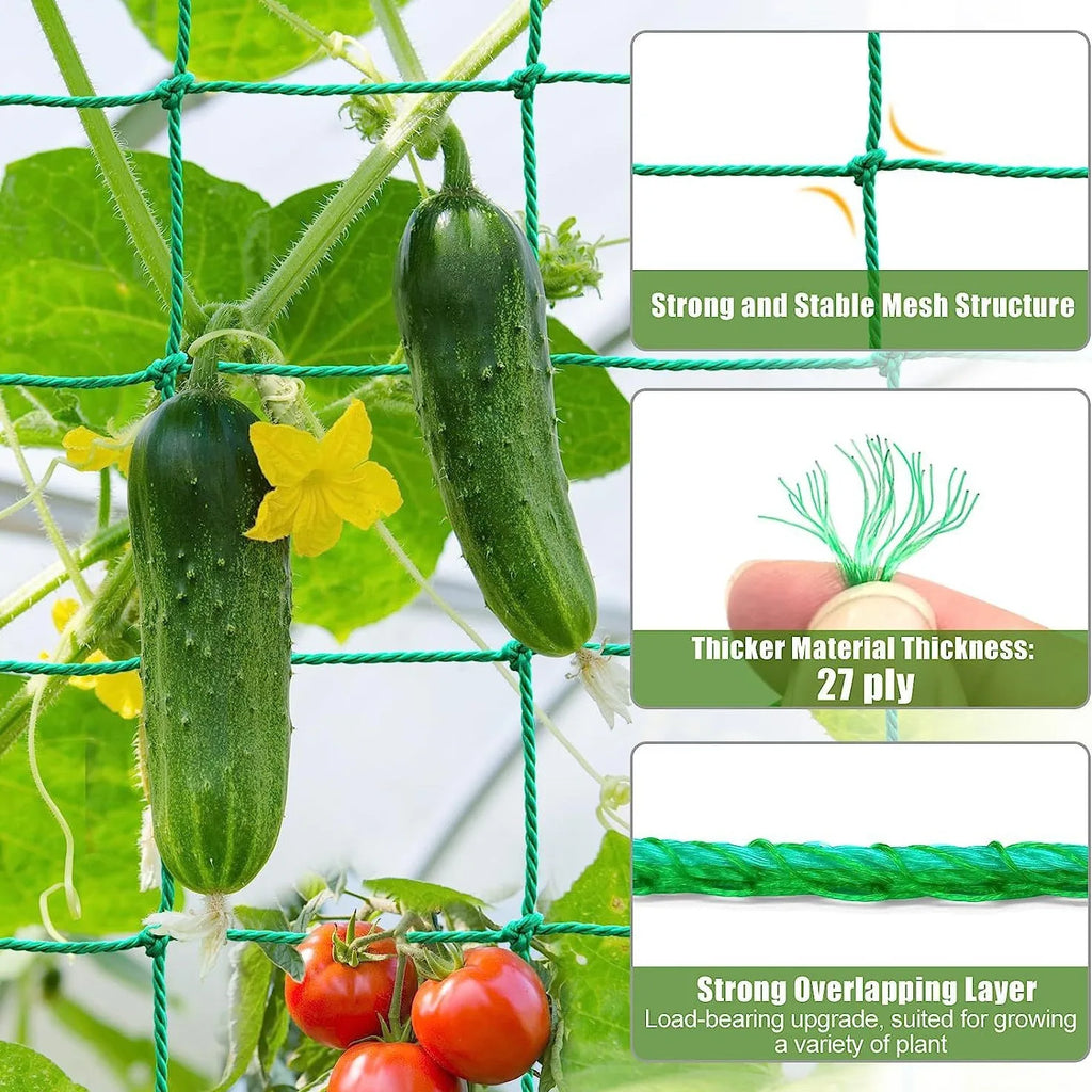 Rankora | Ranknetz aus Nylon | Extra Starkes Kletternetz für Gurken, Tomaten & Weinreben | Belastbares Gartennetz