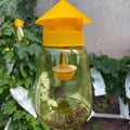 FruGuard | Fruchtfliegenfalle für Obstbäume & Gemüse | Lockstoff-System | Wiederverwendbar | 20 cm