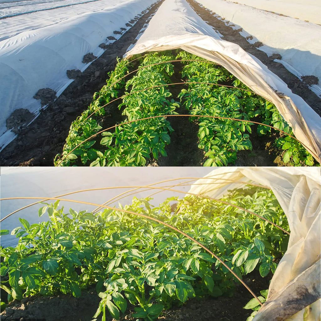 GrowShield Pro Pflanzenschutz Vlies | Frostschutz & Insektenschutz | Lichtdurchlässig | Weiß