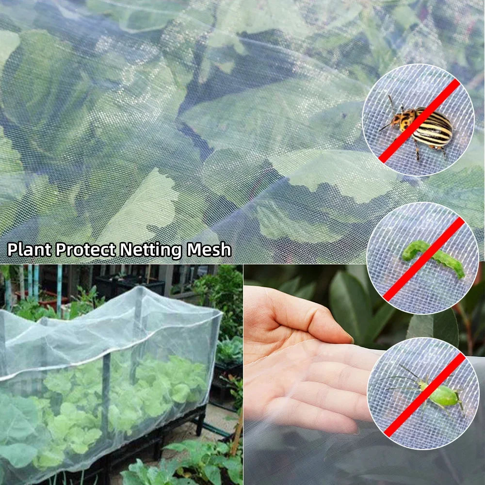 Gardanex Pflanzenschutznetz 60 Mesh | PE Schutznetz | UV-beständig | 2x5 m / 3x10 m