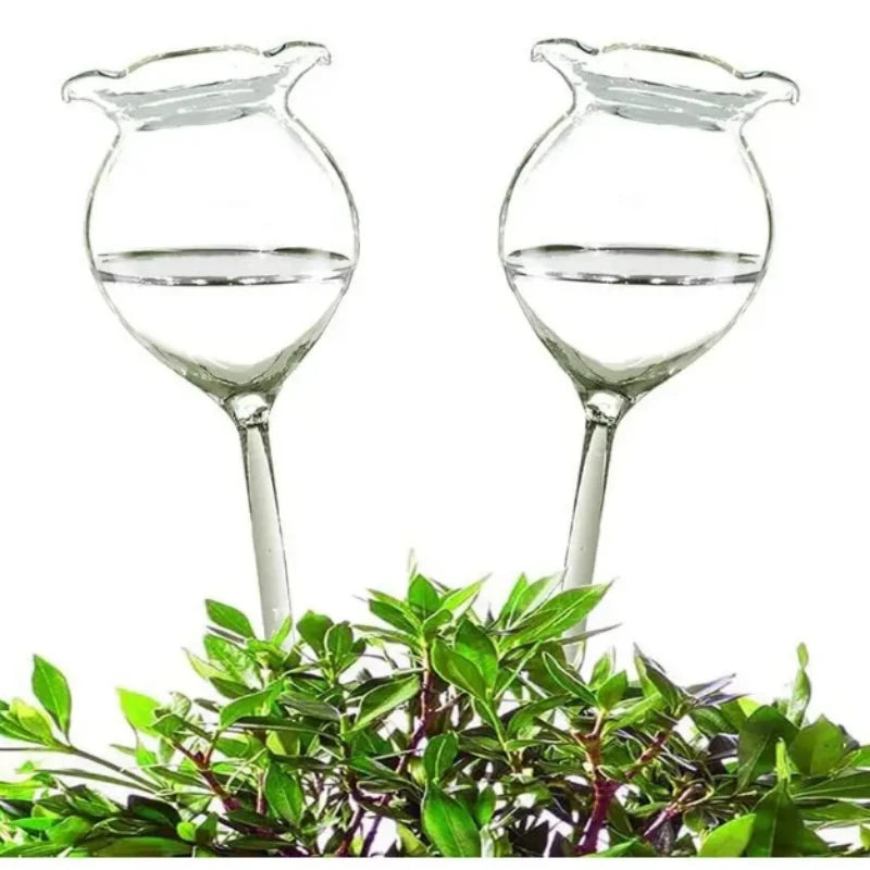 FloraGlobe Selbstbewässernde Pflanzkugeln | Handgeblasenes Glas 2er Set | Automatische Bewässerung