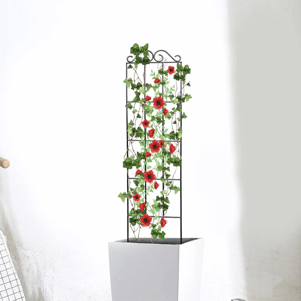 Floravine | Pflanzenrankhilfe aus Metall | Schwarzes Eisendraht-Spalier | Für Kletterpflanzen & Zimmerpflanzen | 50 x 15 cm