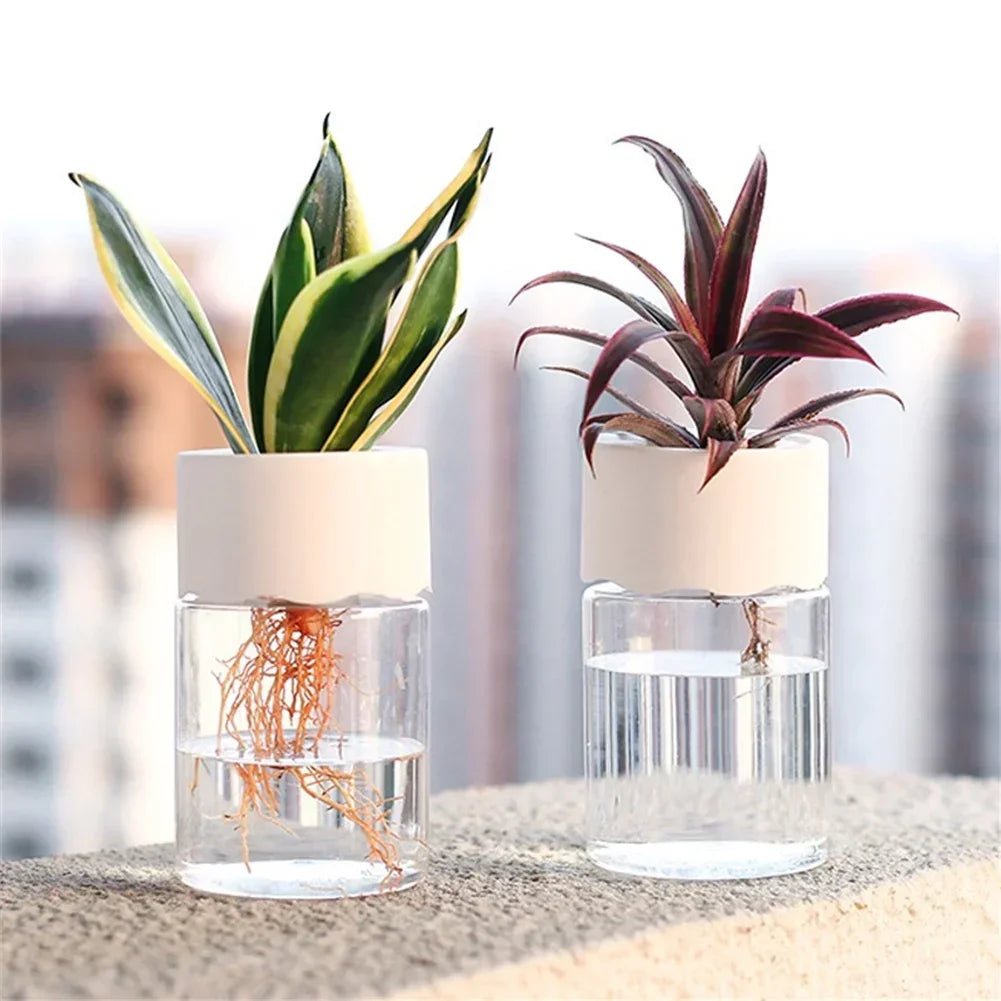 Aqualia | Hydrokultur Pflanzgefäß | Selbstbewässernder Blumentopf | Transparentes Design 14 cm