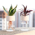 Aqualia | Hydrokultur Pflanzgefäß | Selbstbewässernder Blumentopf | Transparentes Design 14 cm