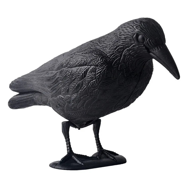 Corvexis Krähen Attrappe 35 cm | Vogelabwehr Rabe aus Kunststoff | Garten & Balkon Dekoration