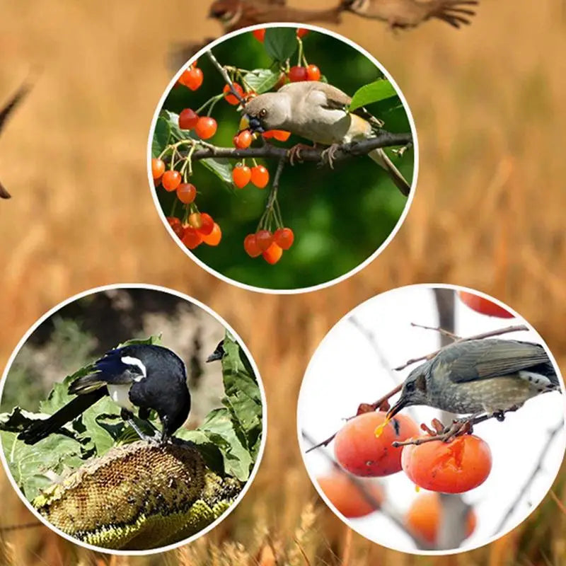 Guardavio | Solarbetriebener Tier- & Vogelvertreiber | Wasserdicht IP55 | 13 Abschreckungssounds | Für Garten und Obstbäume