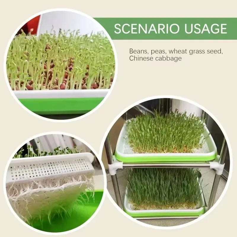Sproutella | Keimschalen-Set für Sprossen & Microgreens | Hydrokultur-Anzuchtschale ohne Erde | Für Bohnen, Erbsen & Keimsaaten
