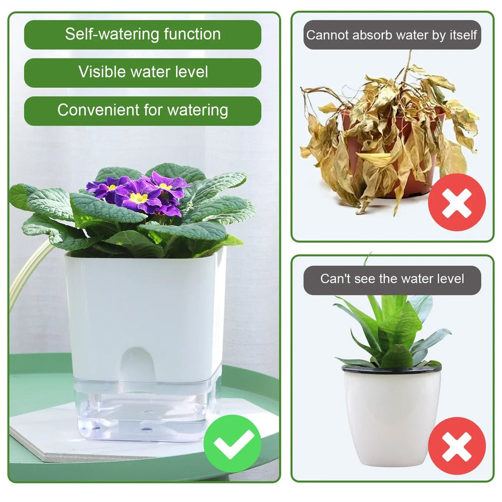 BloomEase Plant Pot | Self-Watering & Space-Saving | With Water Level Indicator | For Indoor Plants & Herbs