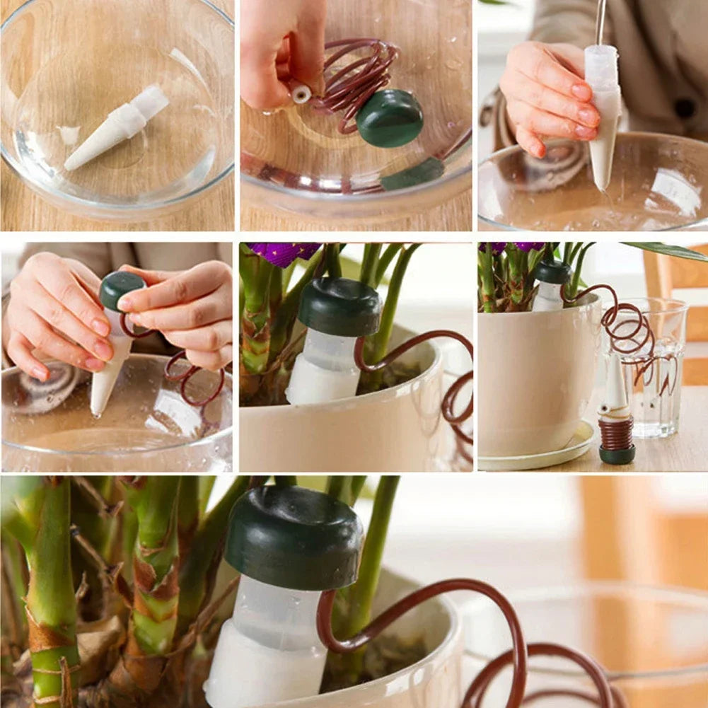 AquaTerris Plant Watering System | Set of 8 | Self-Watering Ceramic Spikes | Automatic & For Indoor Use