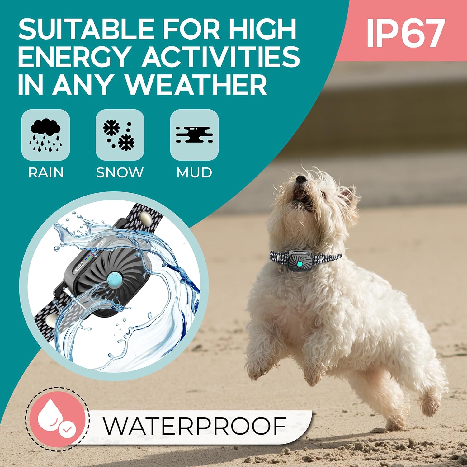 BelloSilent Anti-Bark Collar for Small Dogs | With Sound & Vibration | IP87 Waterproof | Adjustable & Gentle Training
