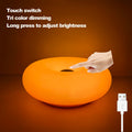 AURORA GLO LED Lamp | RGB16 & Stepless Dimmable | Touch & Remote Control | USB