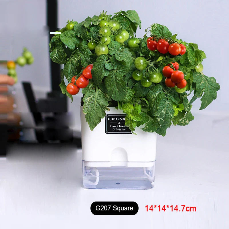BloomEase Plant Pot | Self-Watering & Space-Saving | With Water Level Indicator | For Indoor Plants & Herbs