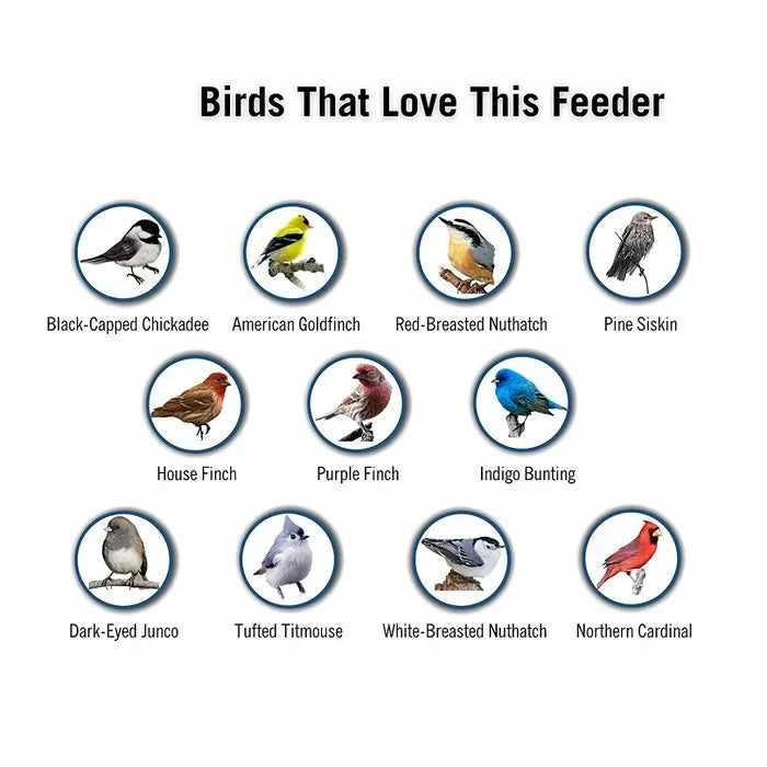 Aviron Bird Feeder with Anti-Squirrel Protection | Spinning Mechanism | 4 Feeding Openings | 2.27 kg Capacity