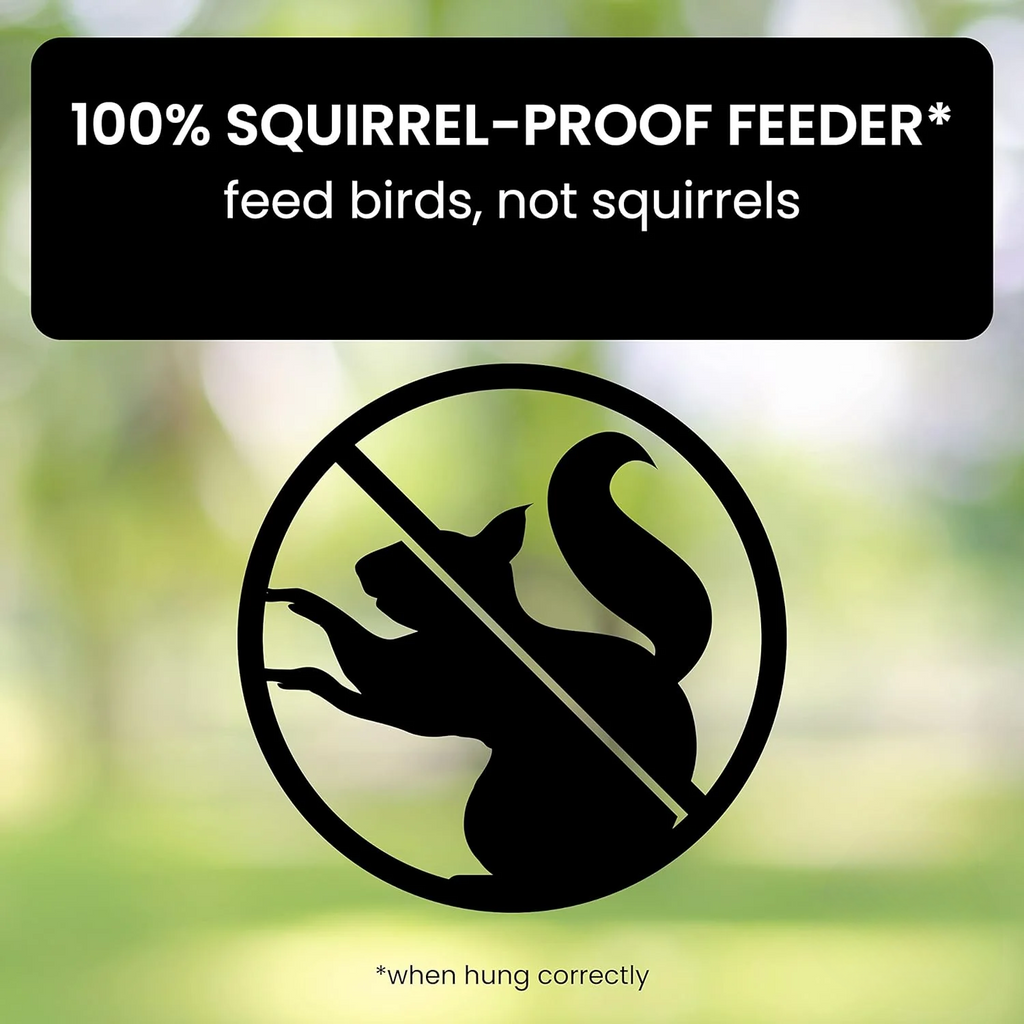 Aviron Bird Feeder with Anti-Squirrel Protection | Spinning Mechanism | 4 Feeding Openings | 2.27 kg Capacity