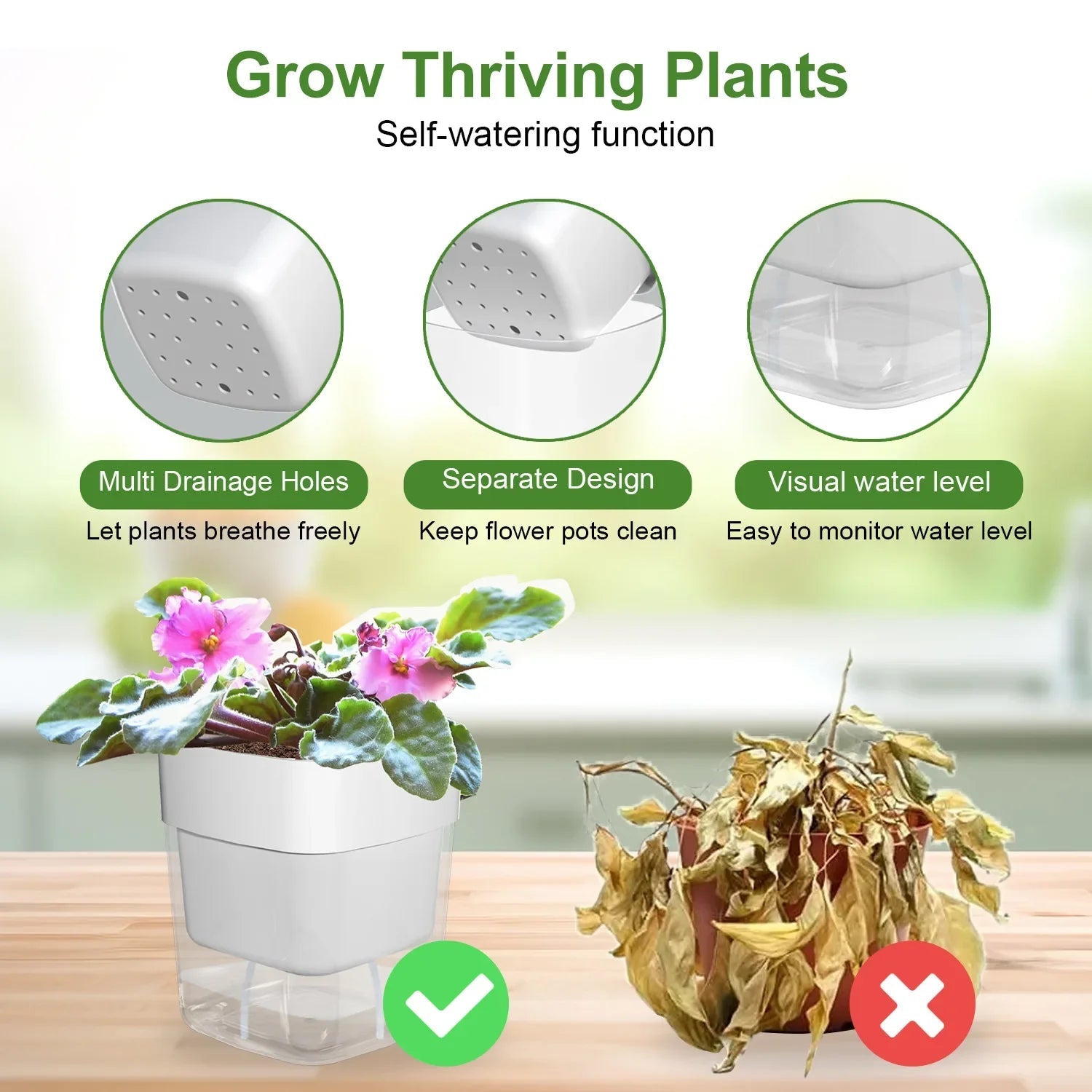 BloomEase Plant Pot | Self-Watering & Space-Saving | With Water Level Indicator | For Indoor Plants & Herbs