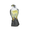 Falcono BirdGuard Bird Repellent Bird of Prey Decoration | Realistic Eagle Replica Made of Plastic | For Garden & Balcony