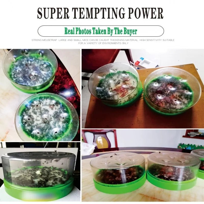 Fly Trap EcoFlyTrap 7 | 7 Catch Openings | Reusable & Non-Toxic | No Electricity Needed
