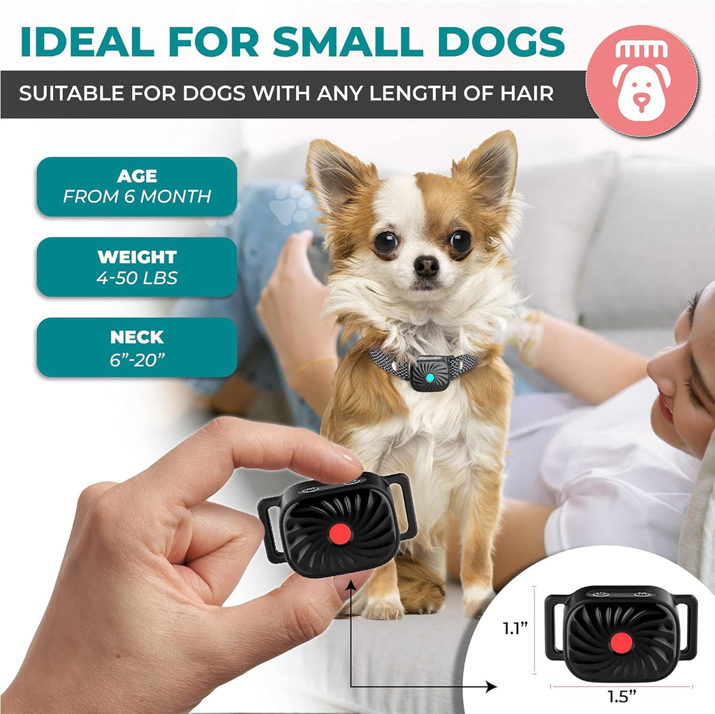 BelloSilent Anti-Bark Collar for Small Dogs | With Sound & Vibration | IP87 Waterproof | Adjustable & Gentle in Training