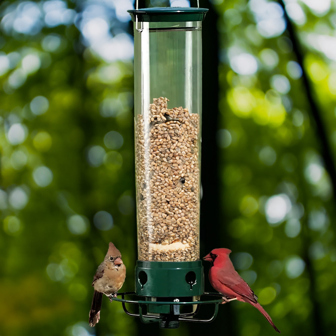 Aviron Bird Feeder with Anti-Squirrel Protection | Spinning Mechanism | 4 Feeding Ports | 2.27 kg Capacity