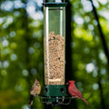 Aviron Bird Feeder with Anti-Squirrel Protection | Spinning Mechanism | 4 Feeding Openings | 2.27 kg Capacity