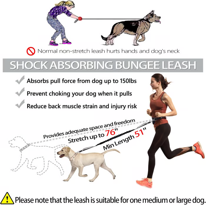Walkora | Freihand-Hundeleine mit Stoßdämpfung | Verstellbarer Hüftgurt | Für Hunde von 20–36 kg