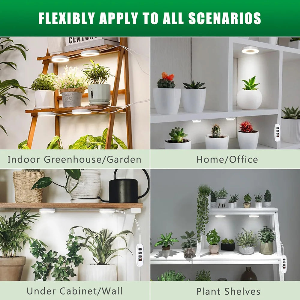 FloraHalo Plant Lamp | LED Full Spectrum Plant Lamp | 10 Brightness Levels & Timer | Ceiling & Under-Cabinet Halo Light for Houseplants