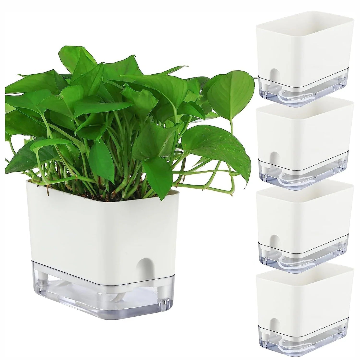 BloomEase Plant Pot | Self-Watering & Space-Saving | With Water Level Indicator | For Indoor Plants & Herbs