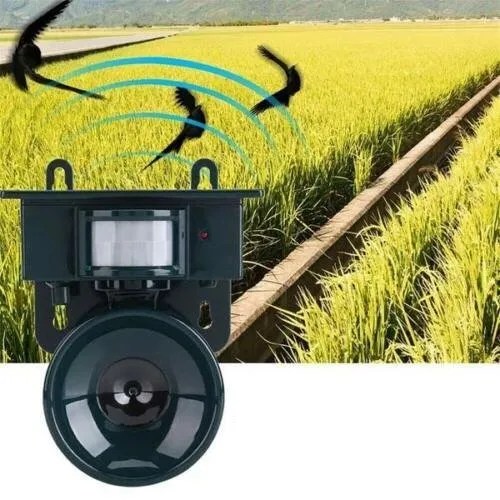 Aviora | Vogelschreck mit Bewegungsmelder | Ultraschall-Abwehr | Solarbetrieben | Reichweite bis 464,6 m²